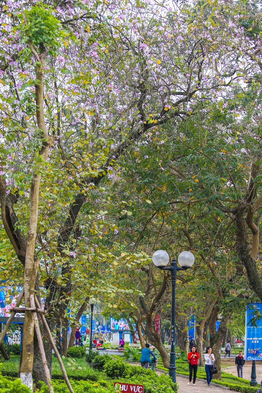 Photo: The Dai/Vietnamplus