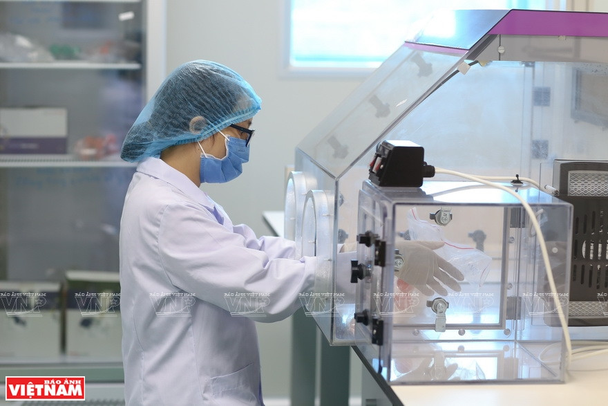  Analyse des échantillons. 