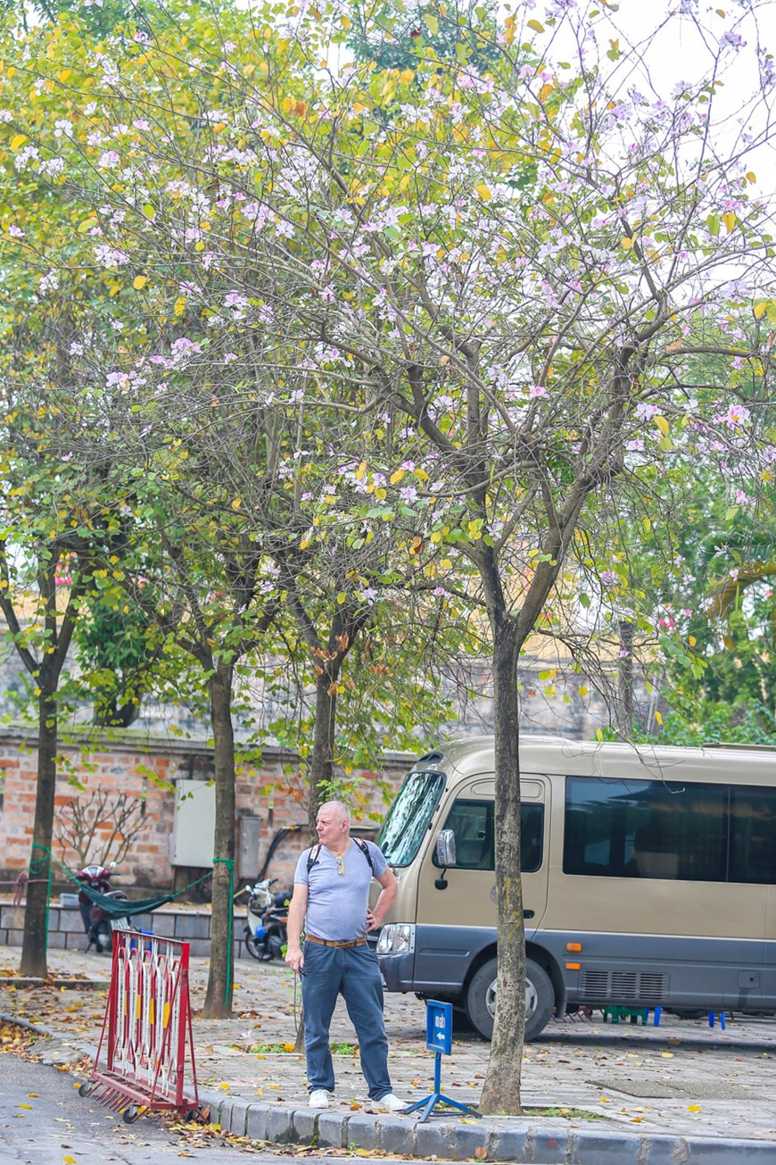  Photo: The Dai/Vietnamplus