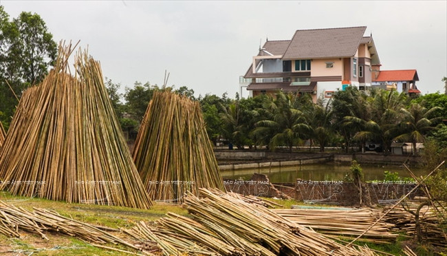 Les produits en bambou de Xuân Lai sont de plus en plus prisés au Vietnam comme à l’étranger. 