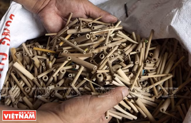 Les matières premières utilisées pour faire des stores sont habituellement la partie supérieure du bambou Phyllostachys.