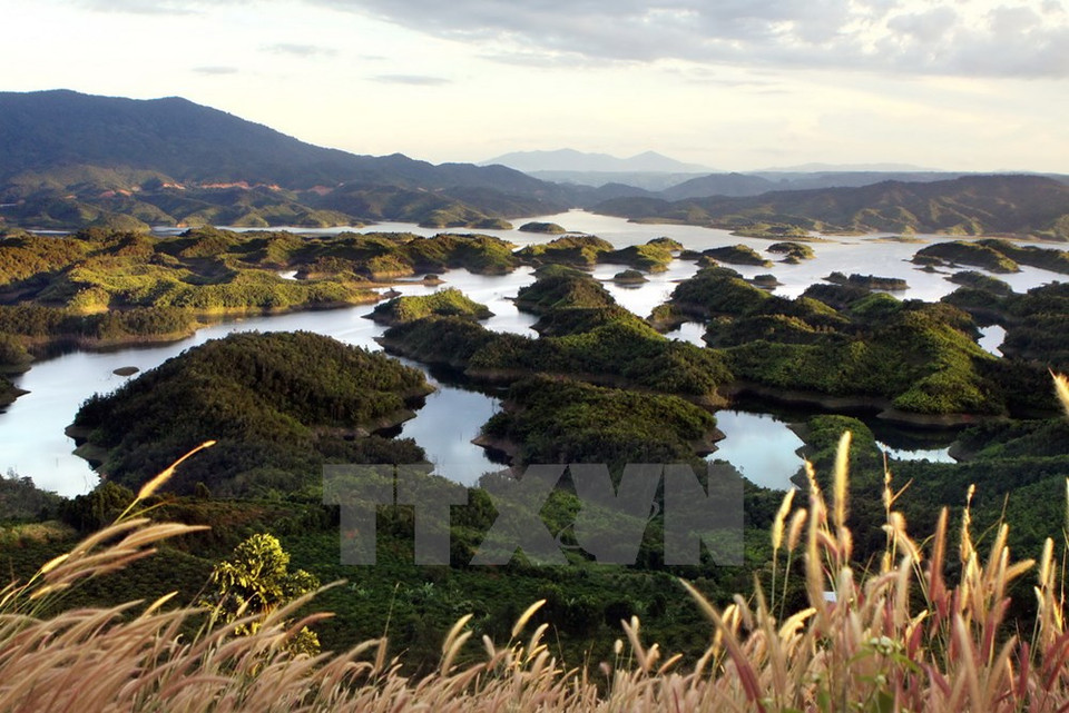 La réserve compte 36 îles boisées. 