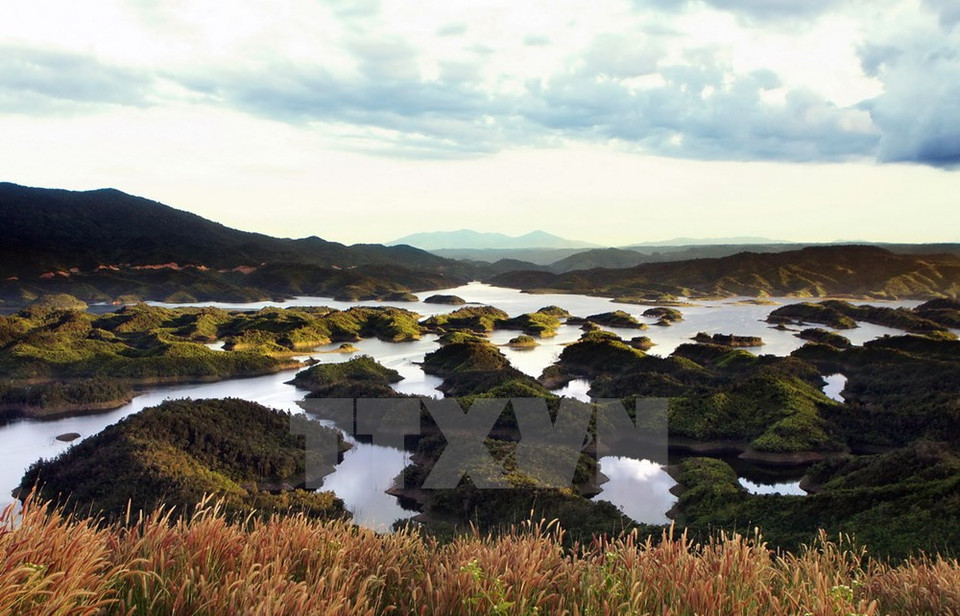 Beauté sauvage et séduisante.