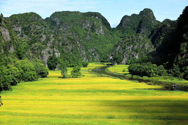 Un paysage spectaculaire avec la couleur jaune du riz, le fond noir des montagnes et le bleu des rivières.