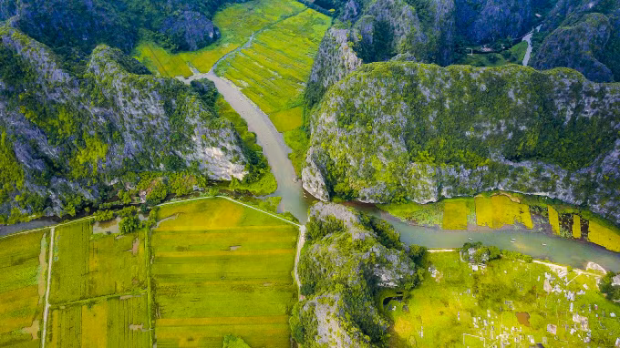 Lors d'une croisière sur la rivière Ngô Dông, vous verrez partout des roches karstiques émergeant de l’eau, des canards nageant, des fleurs de lotus (en juin, juillet), de petits temples, et de superbes champs de riz.