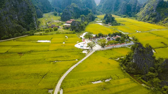 Le temple Thai Vi est situé au centre des rizières dorées.