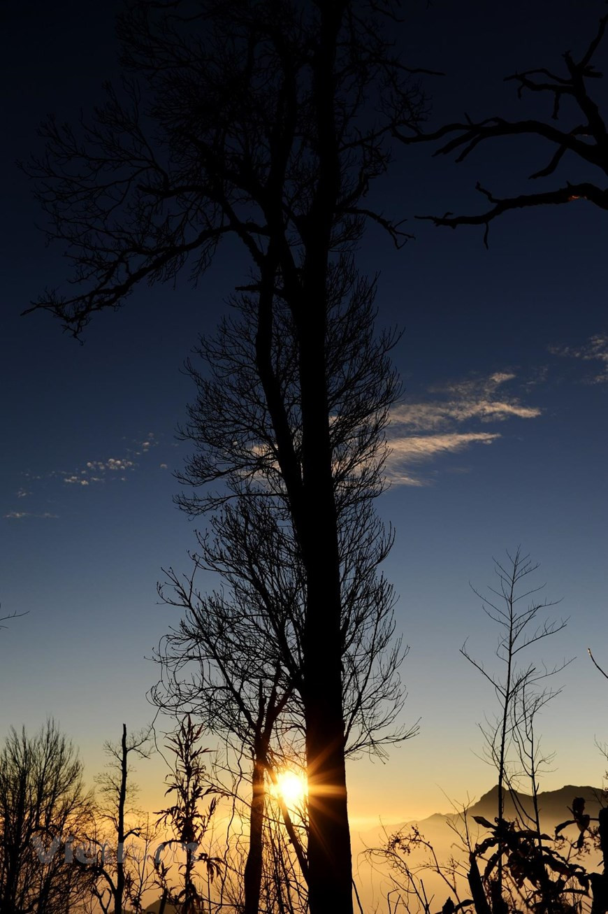 L'aube tardive à travers les auvents. Le sommet Ky Quan San (également connu sous le nom de Bach Moc Luong Tu), situé à la province du Nord-Ouest de Lao Cai, est devenu la nouvelle destination de trekking préférée des amateurs d'aventure et routards. Cette scène pittoresque est l'aspiration de nombreux photographes et attire de nombreux visiteurs et amateurs d'aventures. Se tenir au milieu de l'immense espace, profiter de l'air frais et entendre le chant des oiseaux aident certainement les visiteurs à échapper à l'agitation de la vie moderne. La température sur la montagne Muoi est assez basse. Par conséquent, les touristes doivent faire attention à préparer des vêtements chauds. Photo: Vietnam+