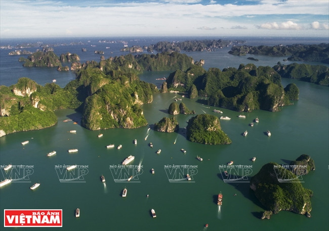 Le Comité populaire de la province de Quang Ninh a approuvé la navigation de plus de 600 bateaux de croisière de 3 à 5 étoiles dans la baie d’Halong. 