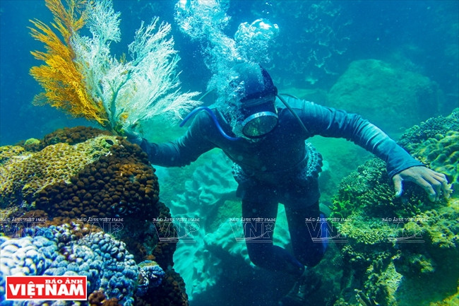 « Plongeur », de Le Ngoc Son (Vinh Long)