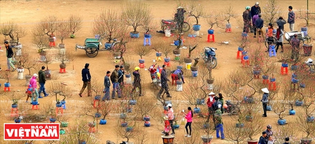  3e prix: « Printemps au pays natal », de Nguyen Quang Huy (Nam Dinh)