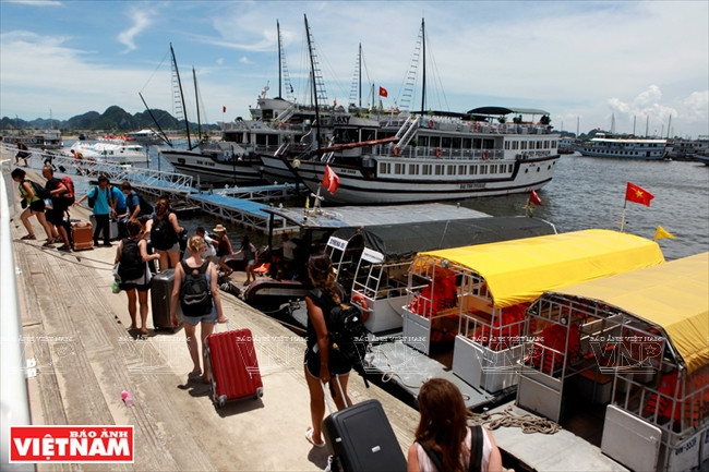 Mis en service en 2016, le port international de Tuân Châu est le plus grand port de plaisance artificiel du Vietnam.