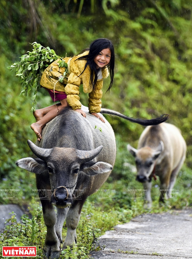  Prix de consolation: « Pâtre », de Chu Viet Bac (Ha Giang)