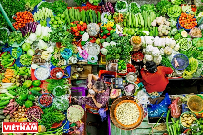  3e prix : « Légumes et fruits vietnamiens », de Ho Dang Khoa (Binh Thuan)