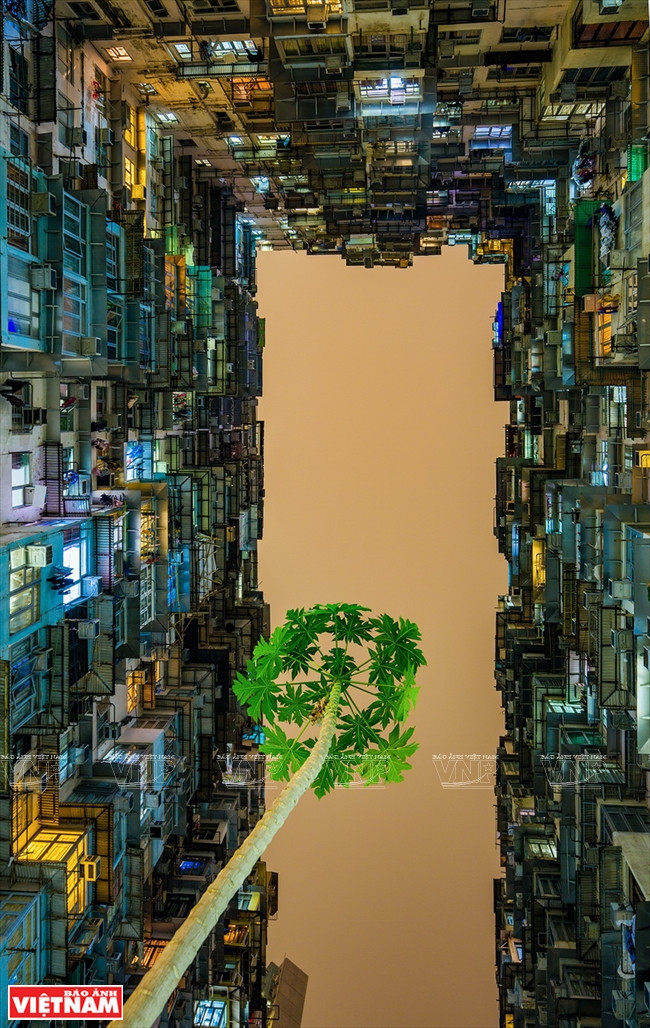  1er prix: “Bougeon de vie” de Tran Vu Quang Huy (Ho Chi Minh-Ville)