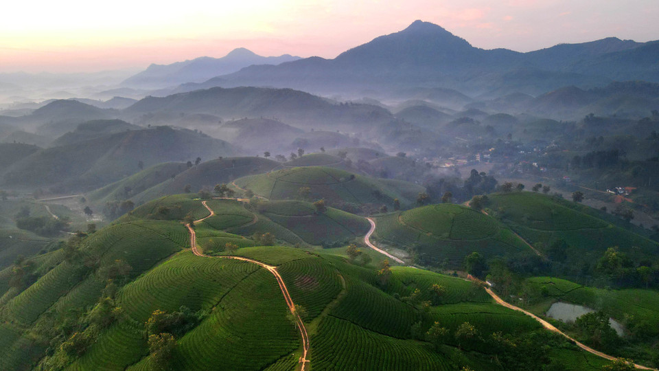 En visitant ce site, les touristes peuvent se promener parmi les collines de thé tout en s'immergeant dans l'atmosphère tranquille et paisible de la région. Photo: VNA