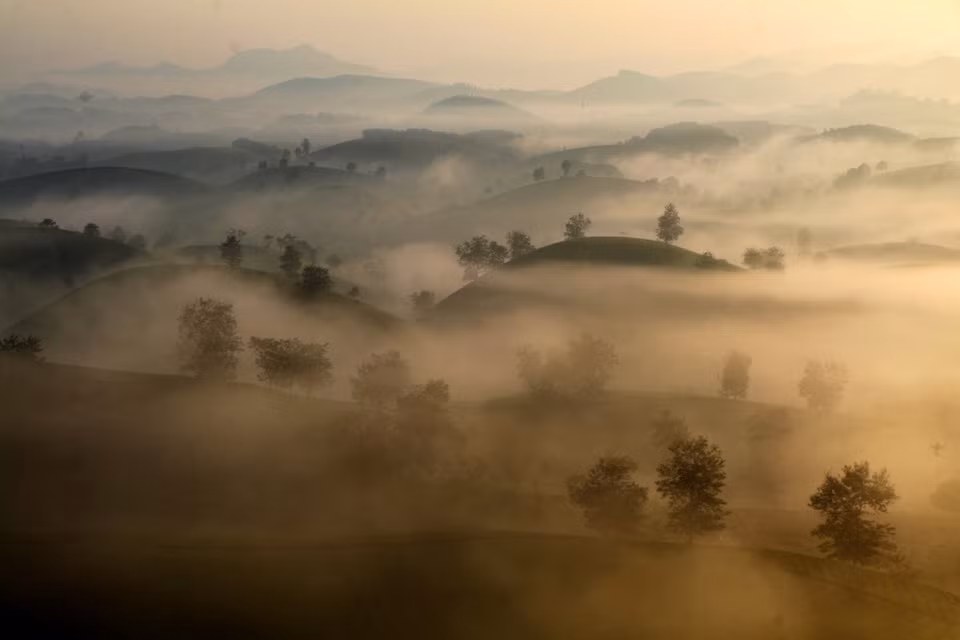 Chaque matin, les collines sont enveloppées de brume. Photo: VNA