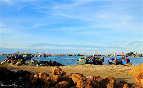 Le port de pêche de Ly Son au petit matin.