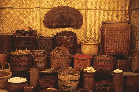 Quelques espèces végétales indispensables à la préparation de remèdes naturels.