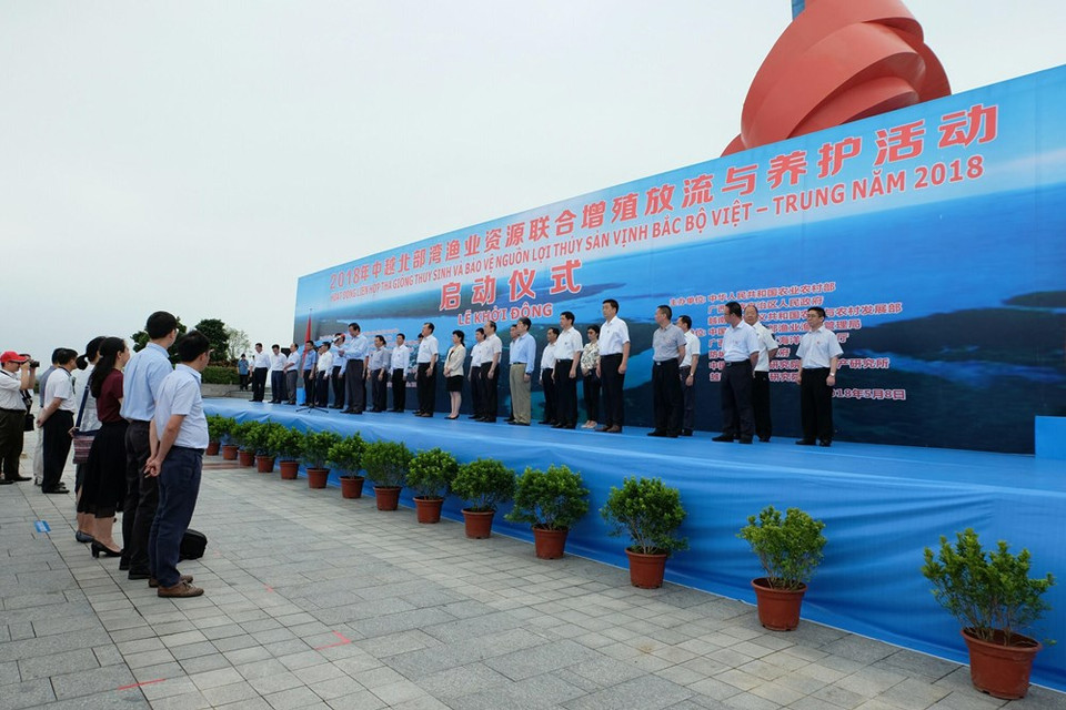 La cérémonie de relâchement de géniteurs de poisson dans les eaux du golfe du Bac Bô a eu lieu au poste frontalier de la rivière Beilun, dans la ville de Dongxing, province chinoise du Guangxi. Photo: VNA
