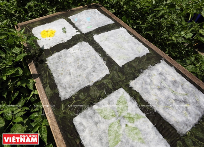 Séchage des feuilles.