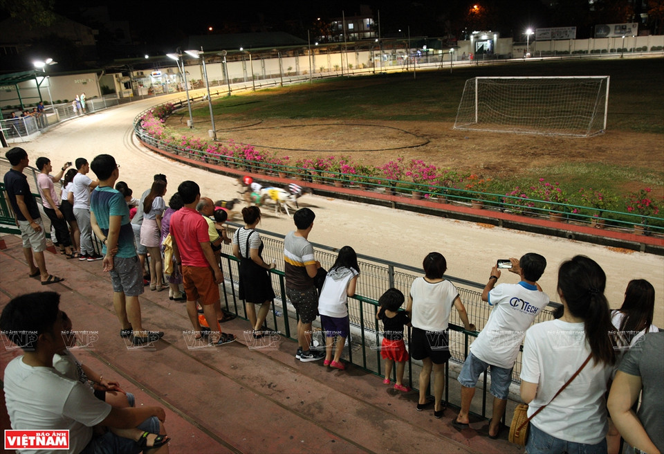 La tribune favorable permettant aux spectateurs de voir facilement la course de lévriers.