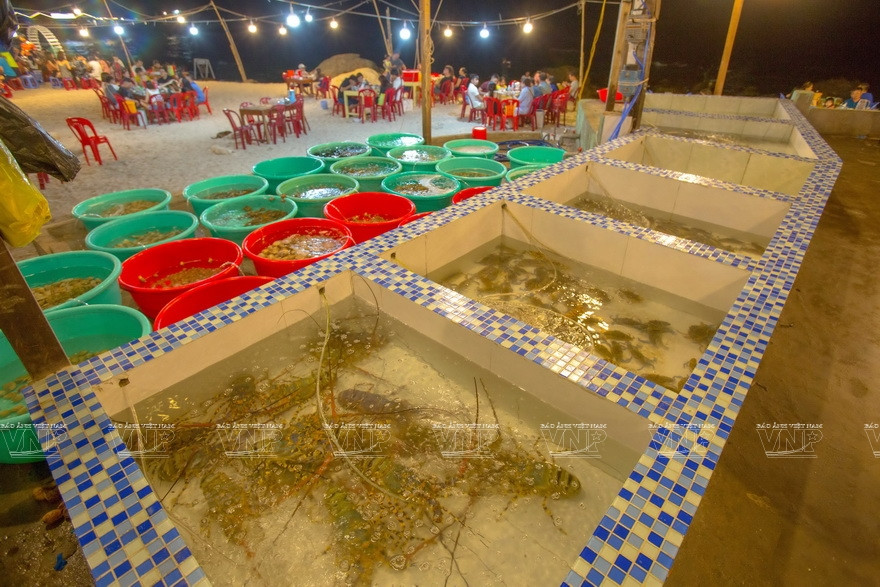Les touristes peuvent prendre des homards sur l'île de Binh Ba
