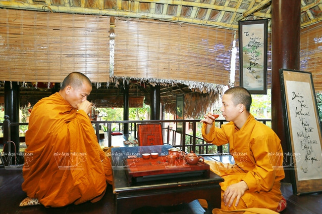 Le cadre enchanteur de Trà Dinh Vu Di attire de nombreux artistes?.