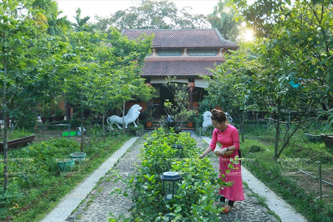 Trà Dinh Vu Di est une « maison-jardin » ombragée où flottent des odeurs de jasmin.