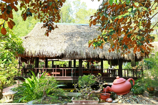 Hutte de dégustation de thé au toit de chaume.