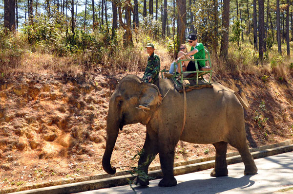 Touristes étrangers à dos d'éléphant dans la zone touristique nationale du lac Tuyên Lâm.
