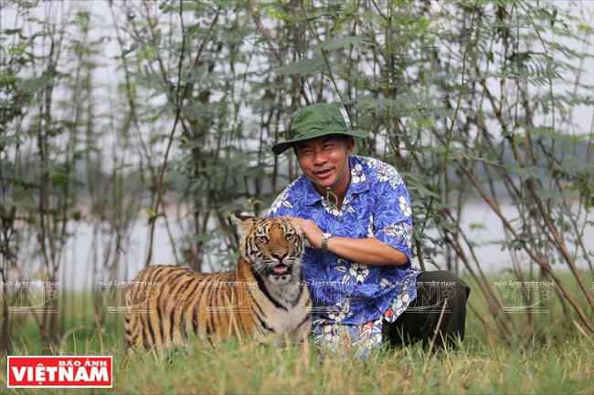  Nguyên Ba Oanh et le tigre Cam. Photo d’archives du centre de sauvetage des animaux sauvages de Hanoi.