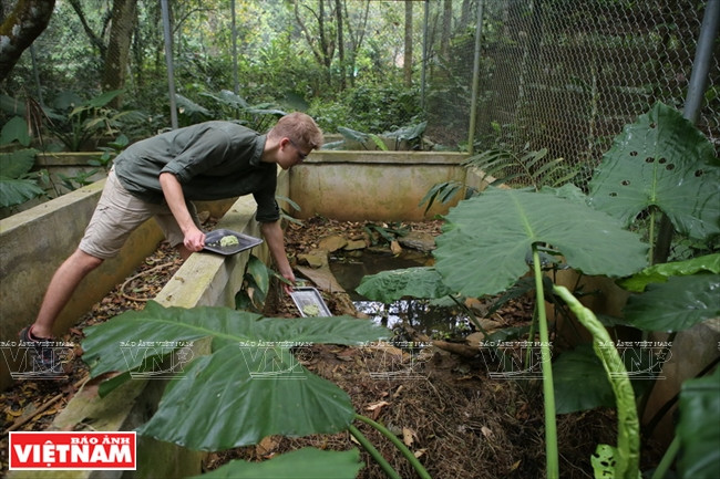  Chaque plateau contient les rations pour 2 à 3 tortues. 
