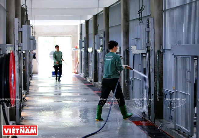  Nettoyage des cages des ours.