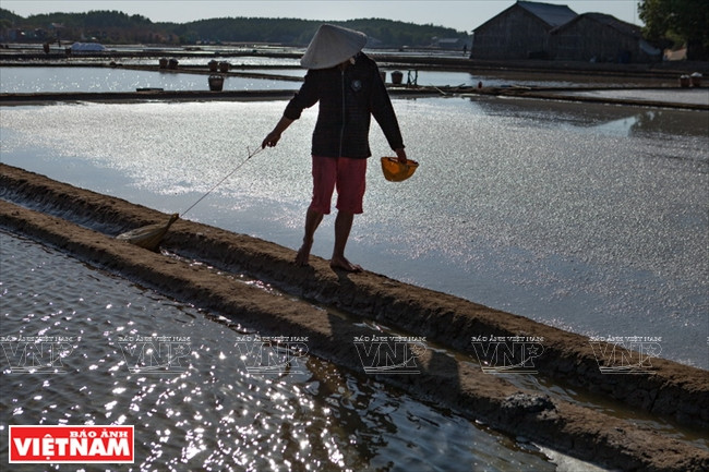 Avec une superficie de 400 ha, Thiêng Liêng est une grande zone salicole. Trân Tuyêt Mai, salicultrice, possède 2,5 ha de marais salants: « Grâce à la production de sel, je fais vivre toute ma famille ».