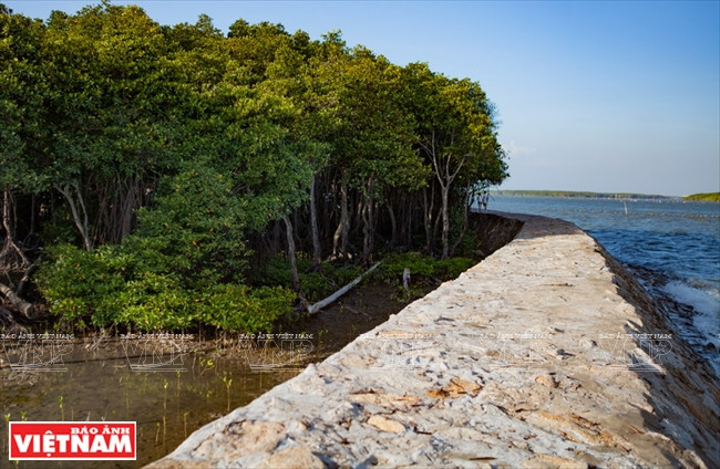 Eau douce, légumes, viande,… sont acheminés du continent. Depuis avril 2015, la commune est alimentée en électricité, ce qui facilite les activités quotidiennes ainsi que la production. Auparavant, l’électricité, qui venait d’un générateur, n’était disponible que quelques heures par jour. Actuellement, les habitants peuvent développer différentes activités économiques : production de sel, élevage et pêche, tourisme,… ce qui leur permet d’améliorer leurs conditions de vie.