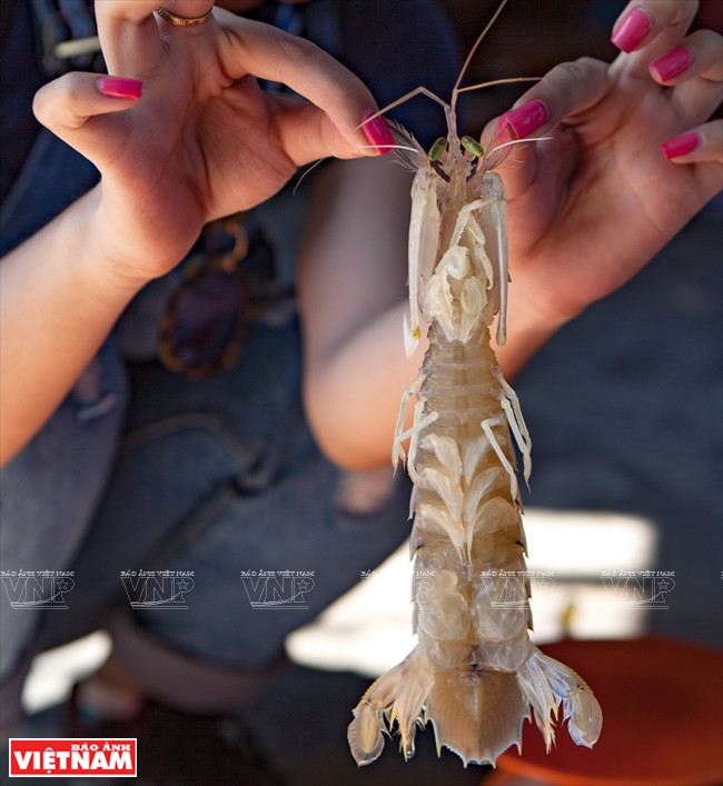 Des fruits de mer frais.