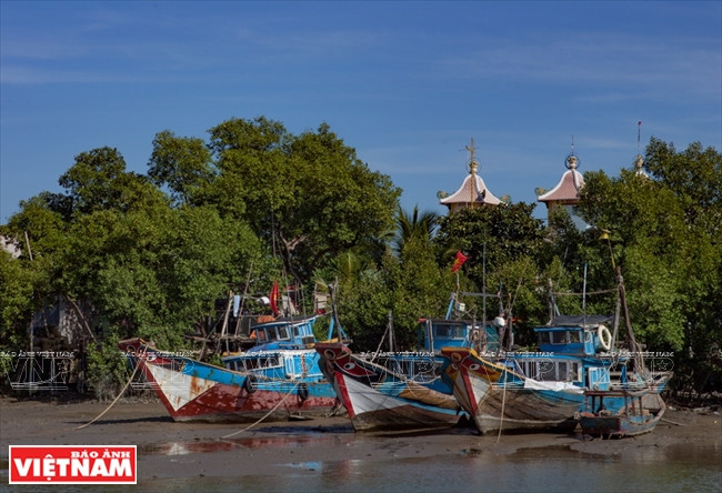 Partis du centre de Hô Chi Minh-Ville, nous sommes allés au port de Cân Thanh pour prendre le bateau vers la commune de Thanh An. Prix du billet: 10.000 dongs. On compte cinq allers-retours par jour. La traversée dure 40 minutes. Entourée de mangrove et de brise-lames, Thanh An s’étend sur 131 km². C’était autrefois une porte d’entrée de l’ancien Saïgon – Gia Dinh. Peuplée de 5.000 habitants, elle se compose de trois hameaux: Thanh Hoà, Thanh Binh et Thiêng Liêng. Les habitants vivent de la pêche, de la saliculture et de l’ostréiculture.