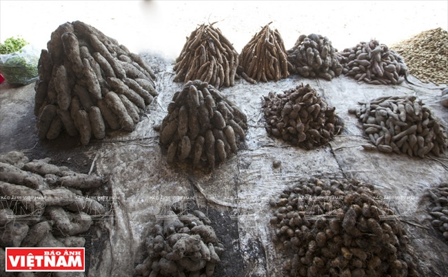 Des produits agricoles typiques de Thanh Hoa.