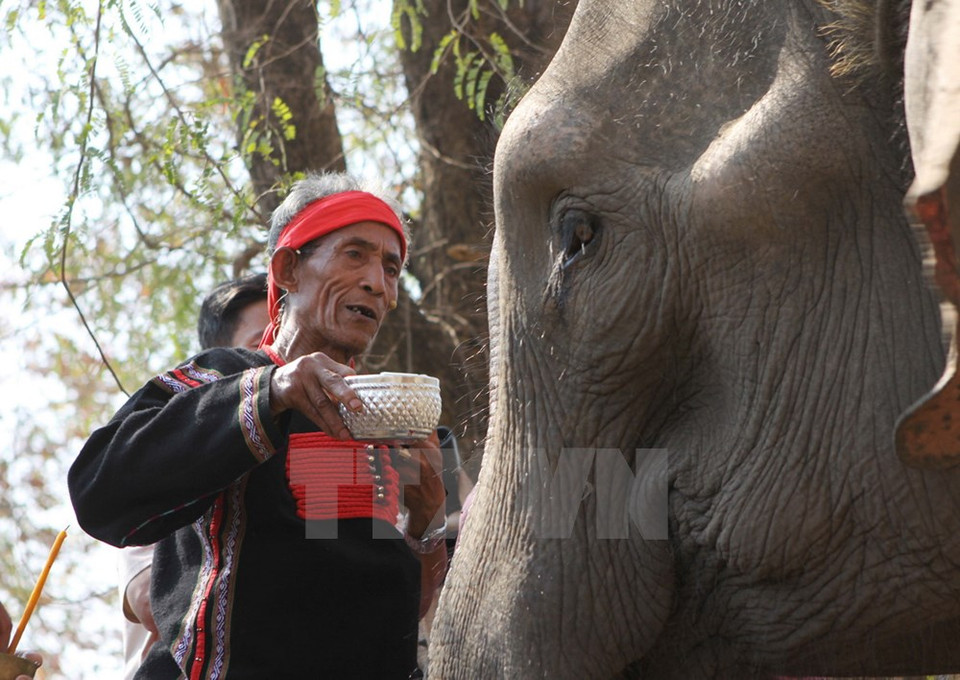 Culte pour la santé des éléphants. 