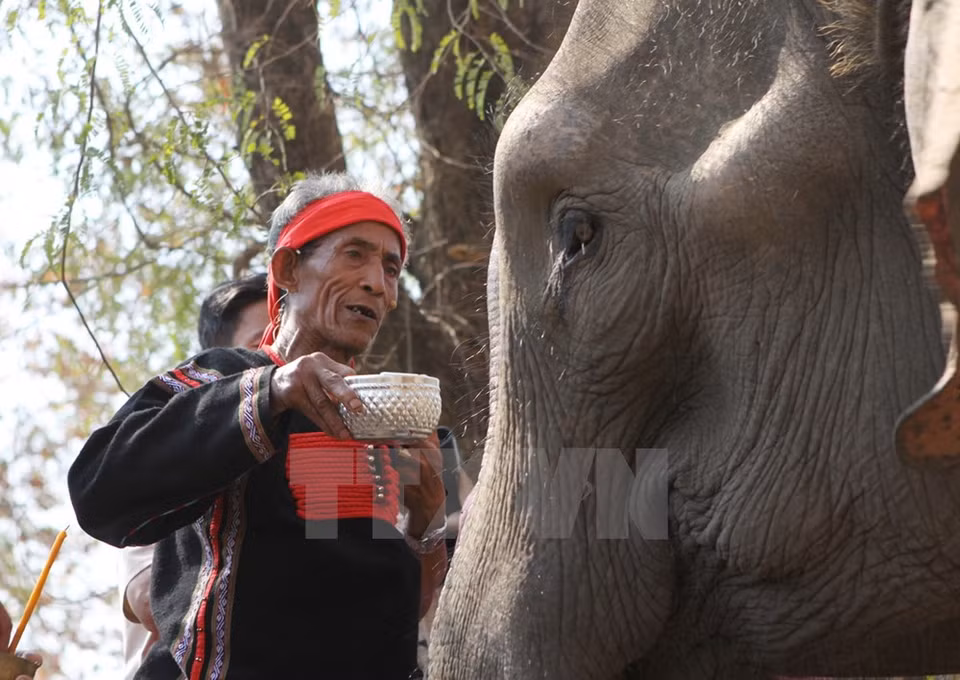 Culte pour la santé des éléphants. 