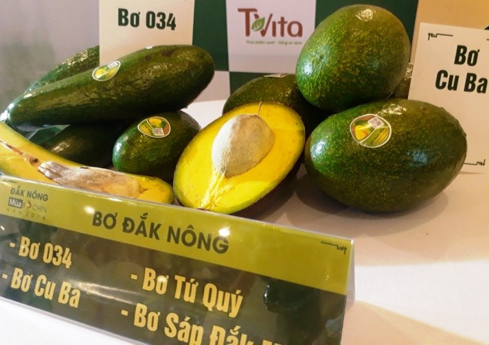 De divers avocats de Dak Nong, province surnommée royaume des avocatiers.