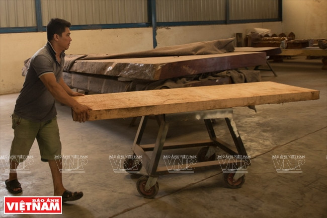 Transport du bois à l’atelier. Photo : Nguyên Luân