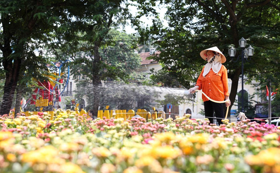Disposition de fleurs autour du lac de l'Epée restituée. 