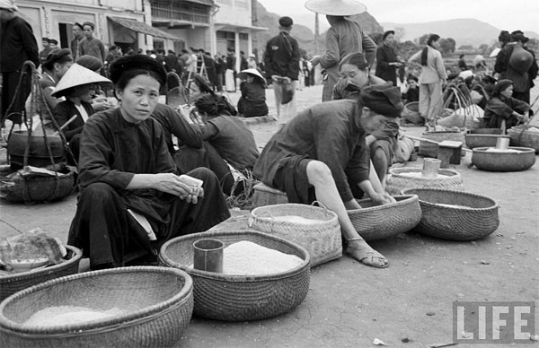 Les endroits dédiés à la vente de riz.