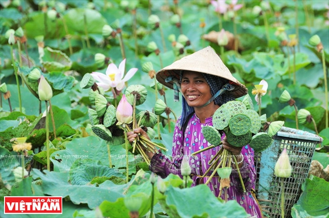 Une habitant de Dong Sen Go Thap.