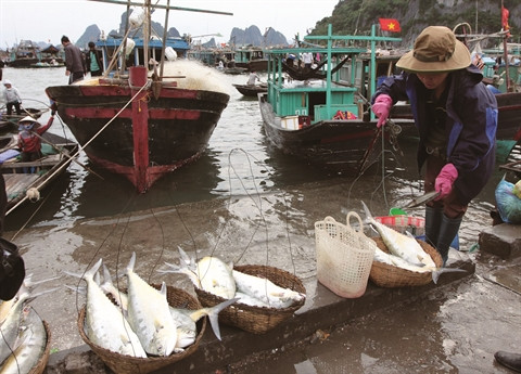 Les locaux exploitent les ressources maritimes. 