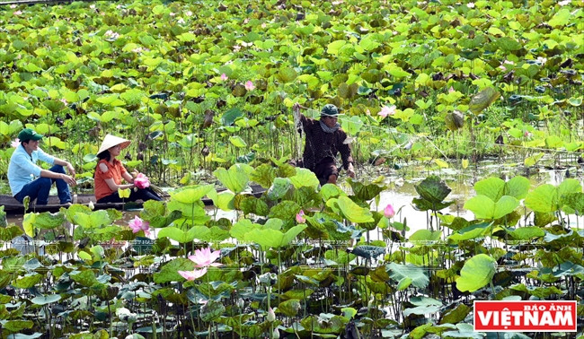 Touristes pêchant à Dong Sen.