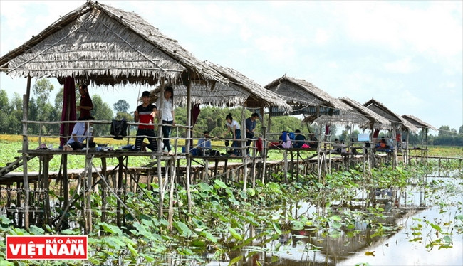 Dong Sen Go Thap attire de nombreux touristes.