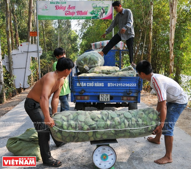 Des commerçants viennent faire leurs emplettes.
