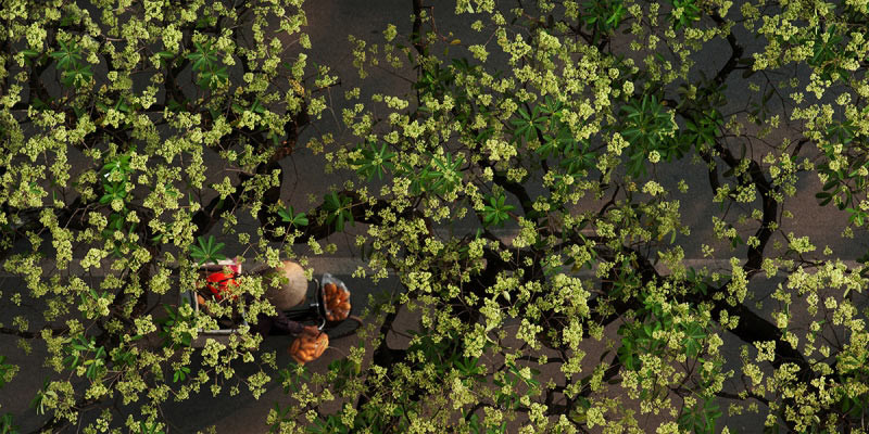 "La beauté de l’automne"